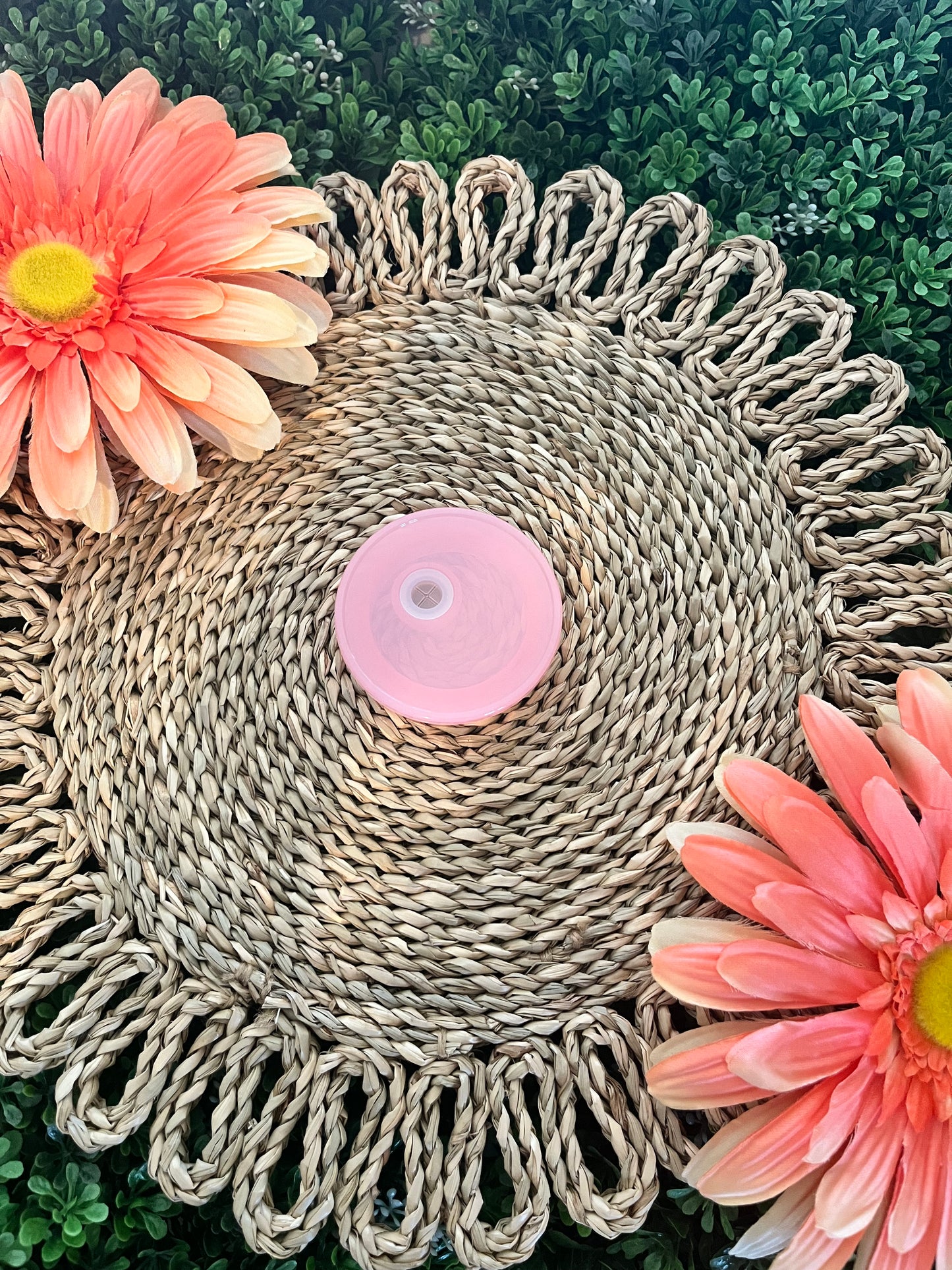 Colored Plastic Lid
