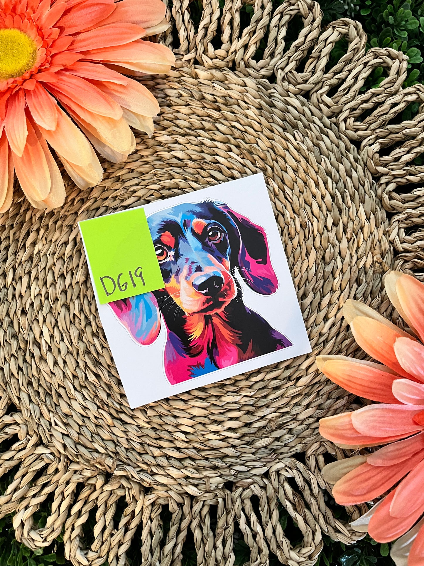 Dog Wrap
