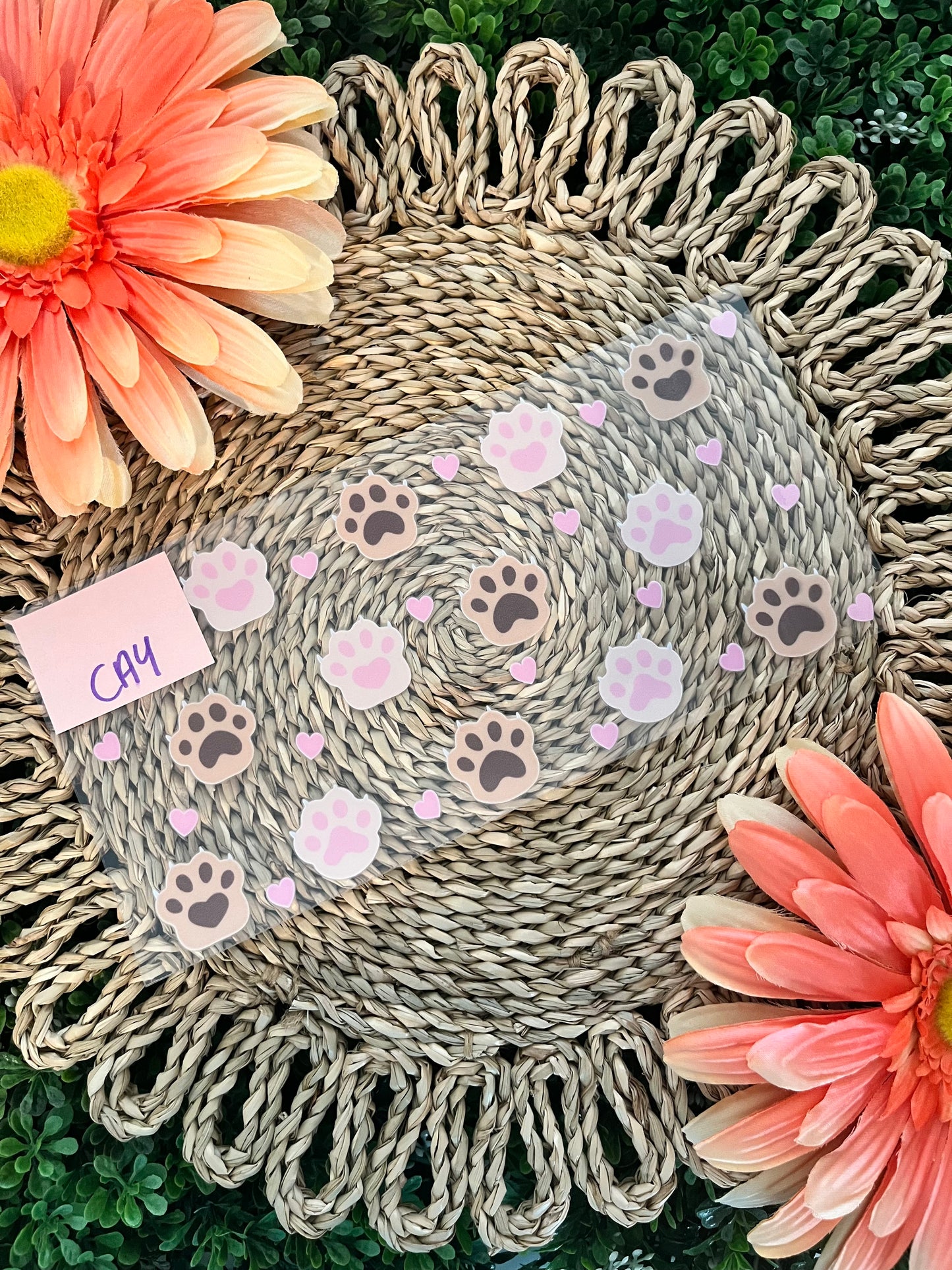 Cat Wrap
