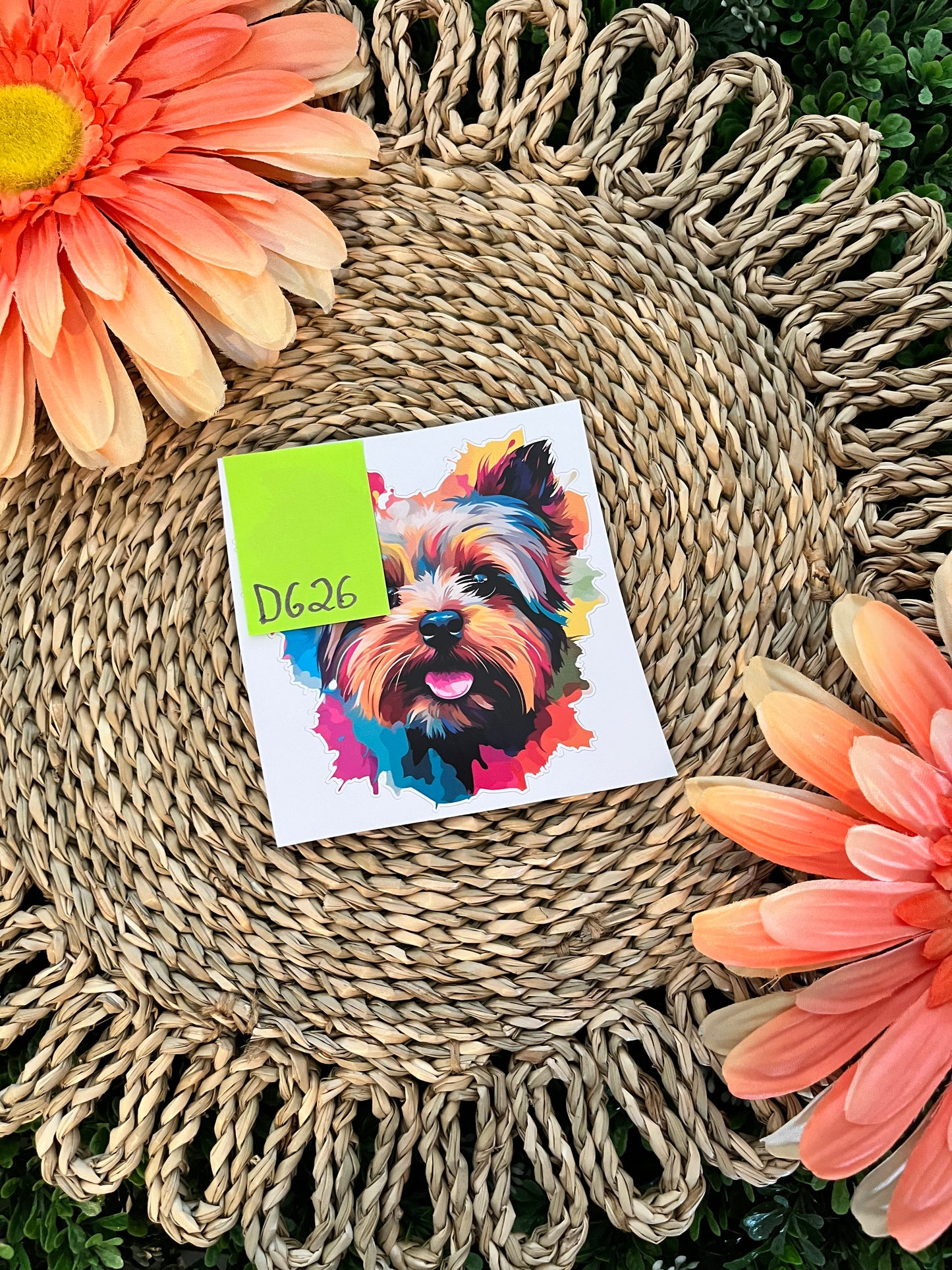 Dog Wrap