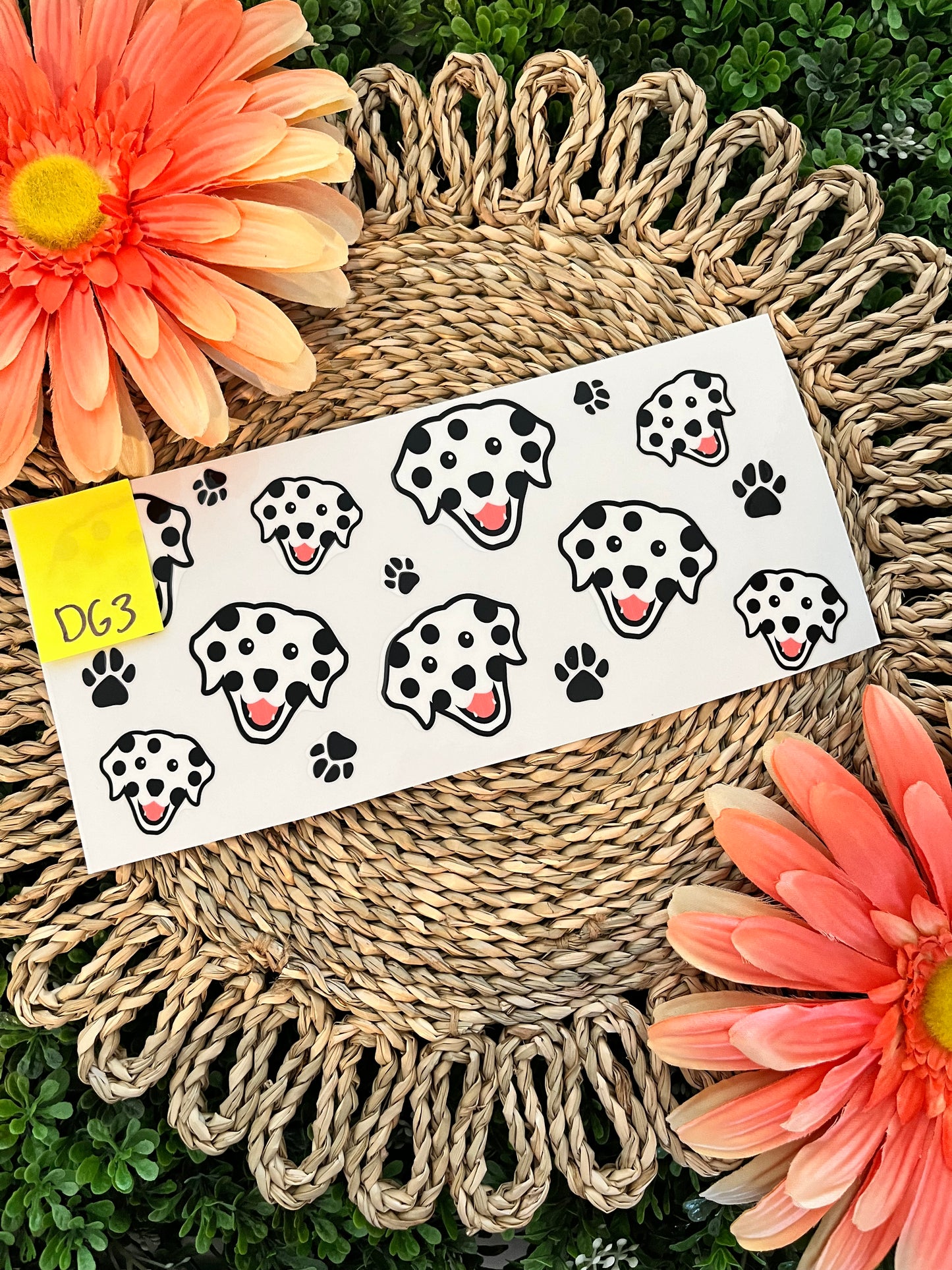 Dog Wrap