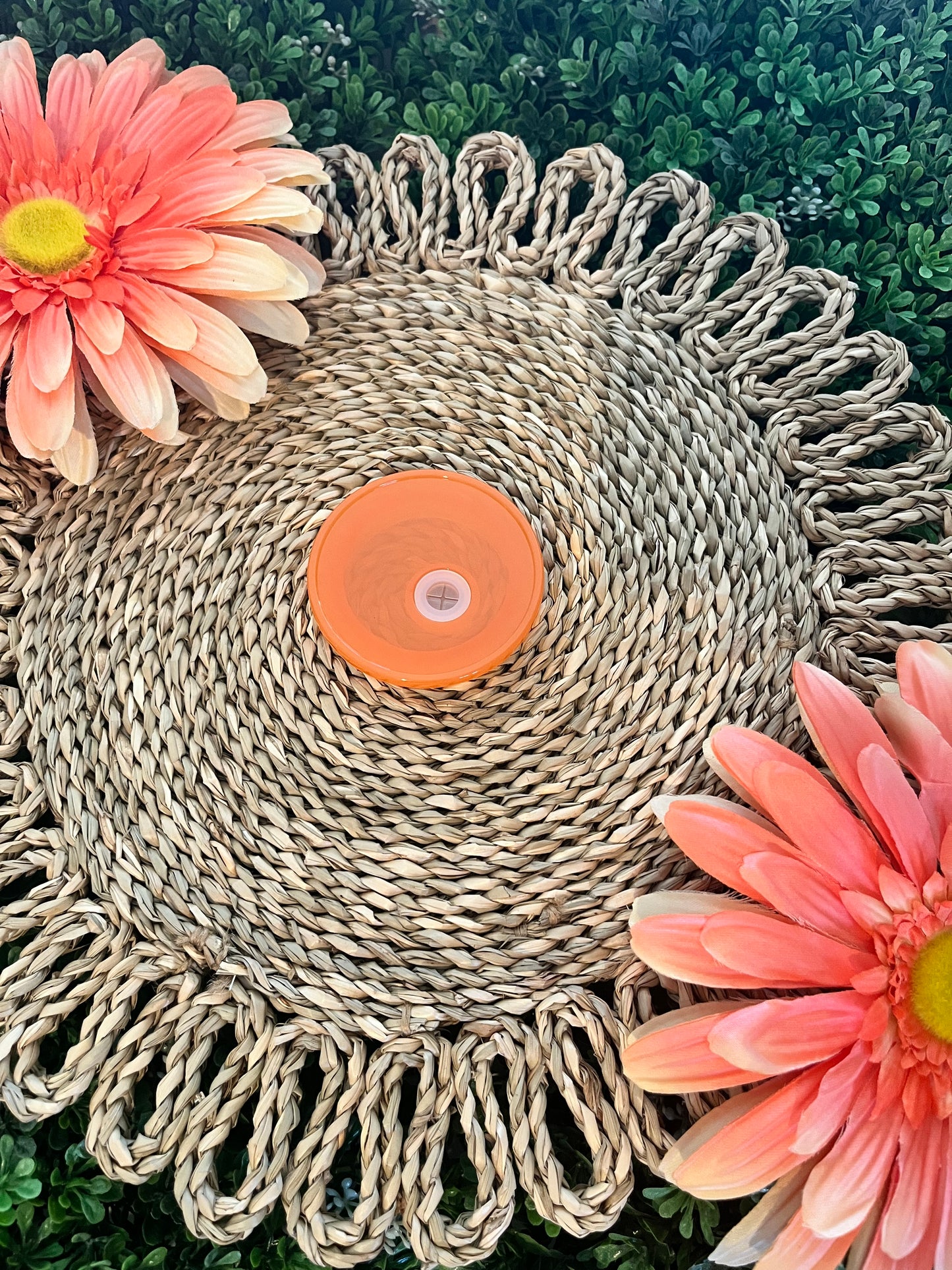 Colored Plastic Lid