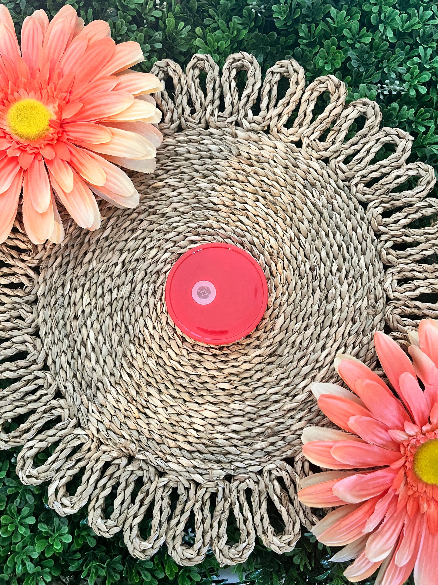 Colored Plastic Lid