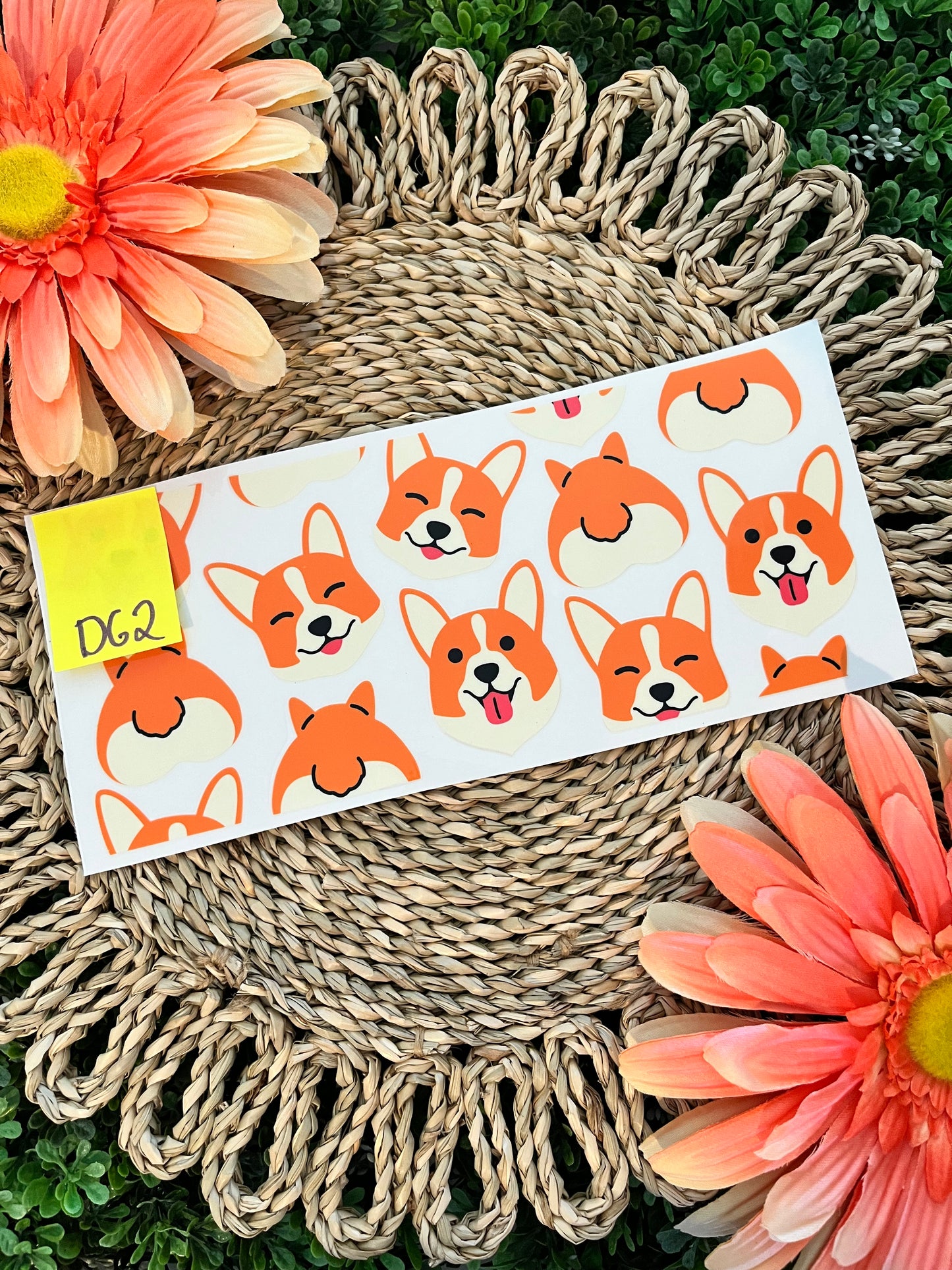 Dog Wrap