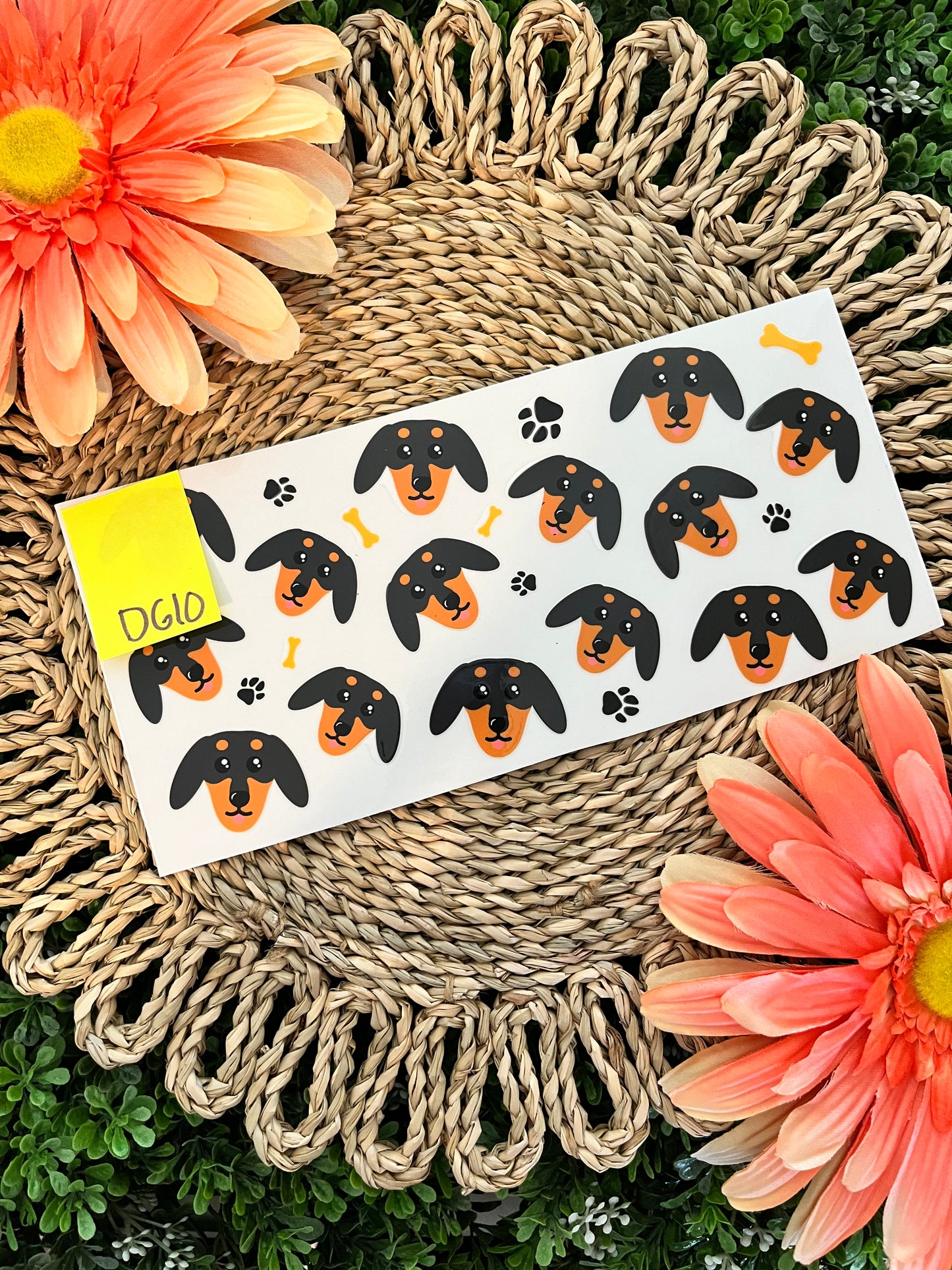 Dog Wrap