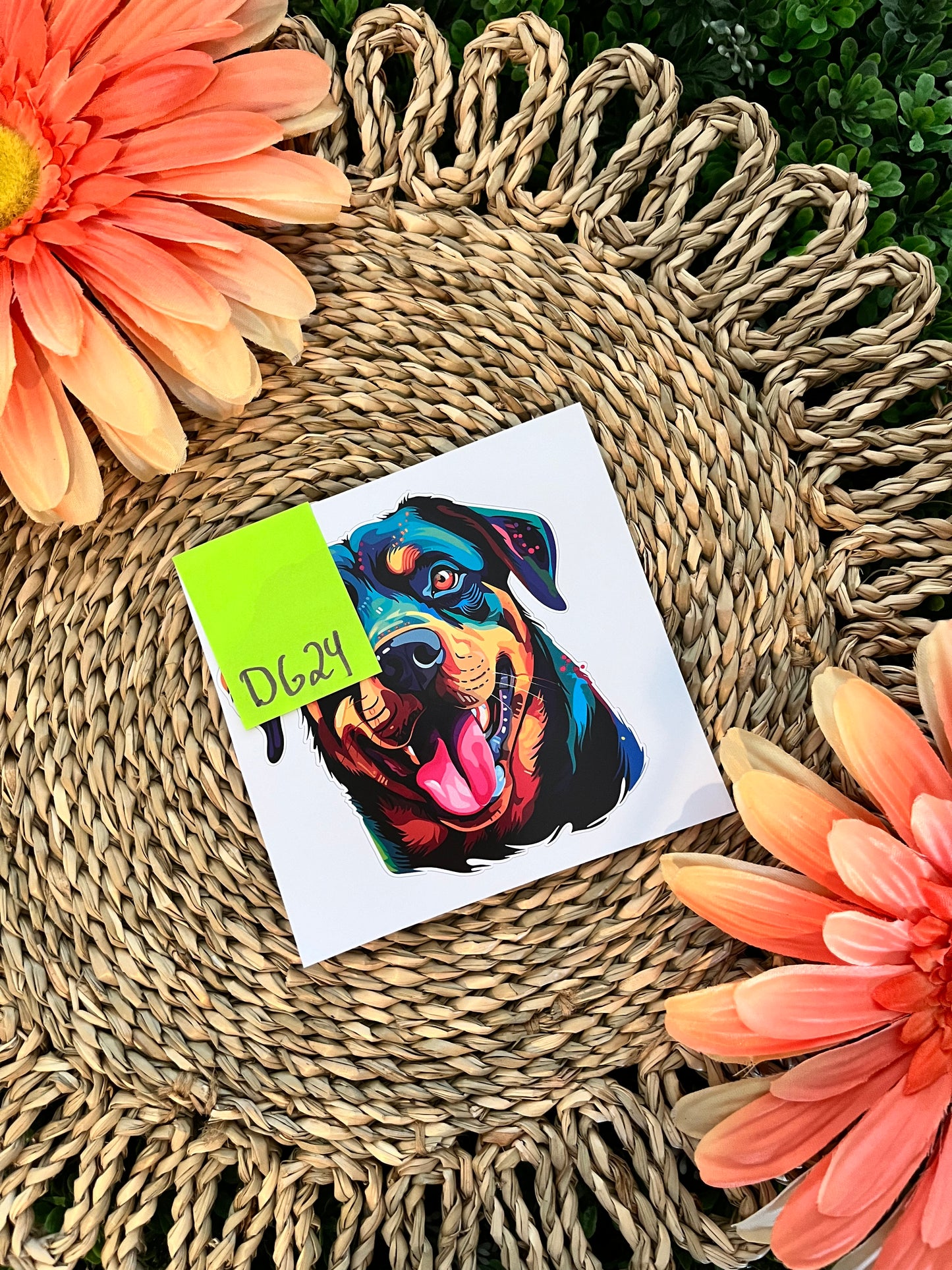 Dog Wrap