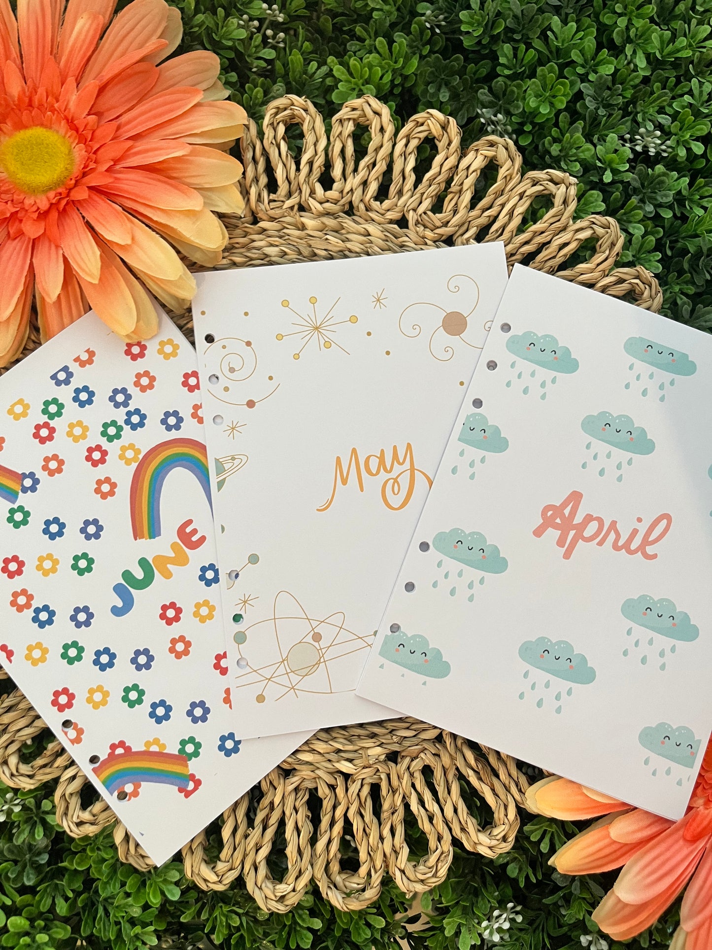 2025 3 Month Monthly Themed Spreads
