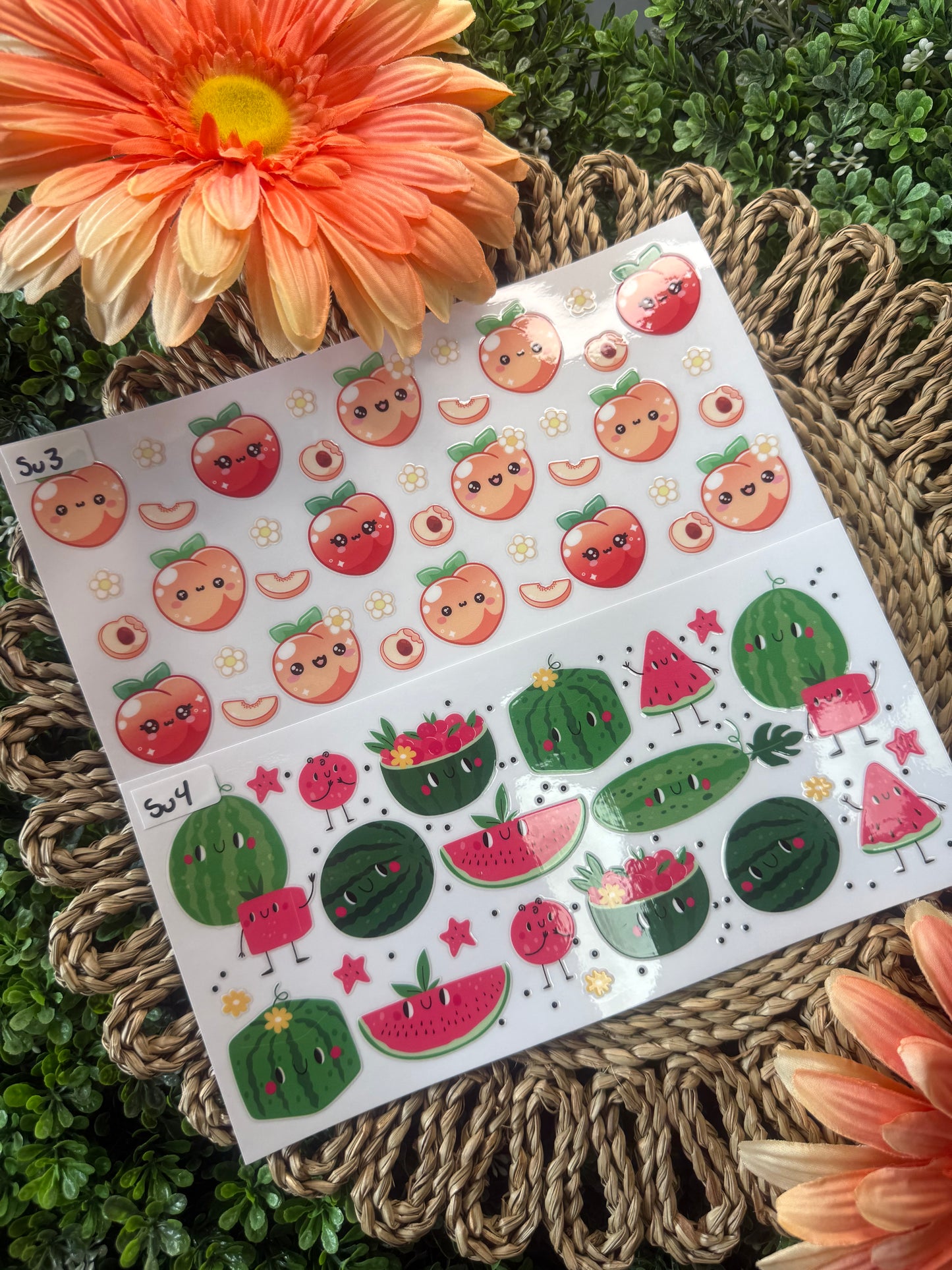 Summer Wrap Fruit Theme