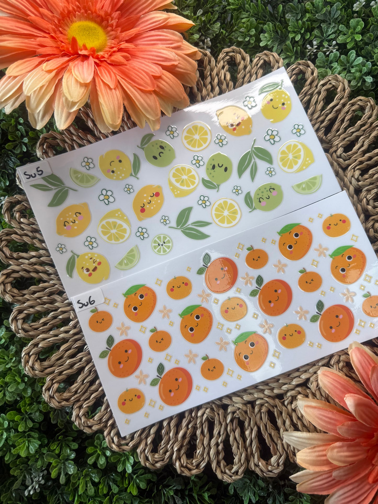 Summer Wrap Fruit Theme