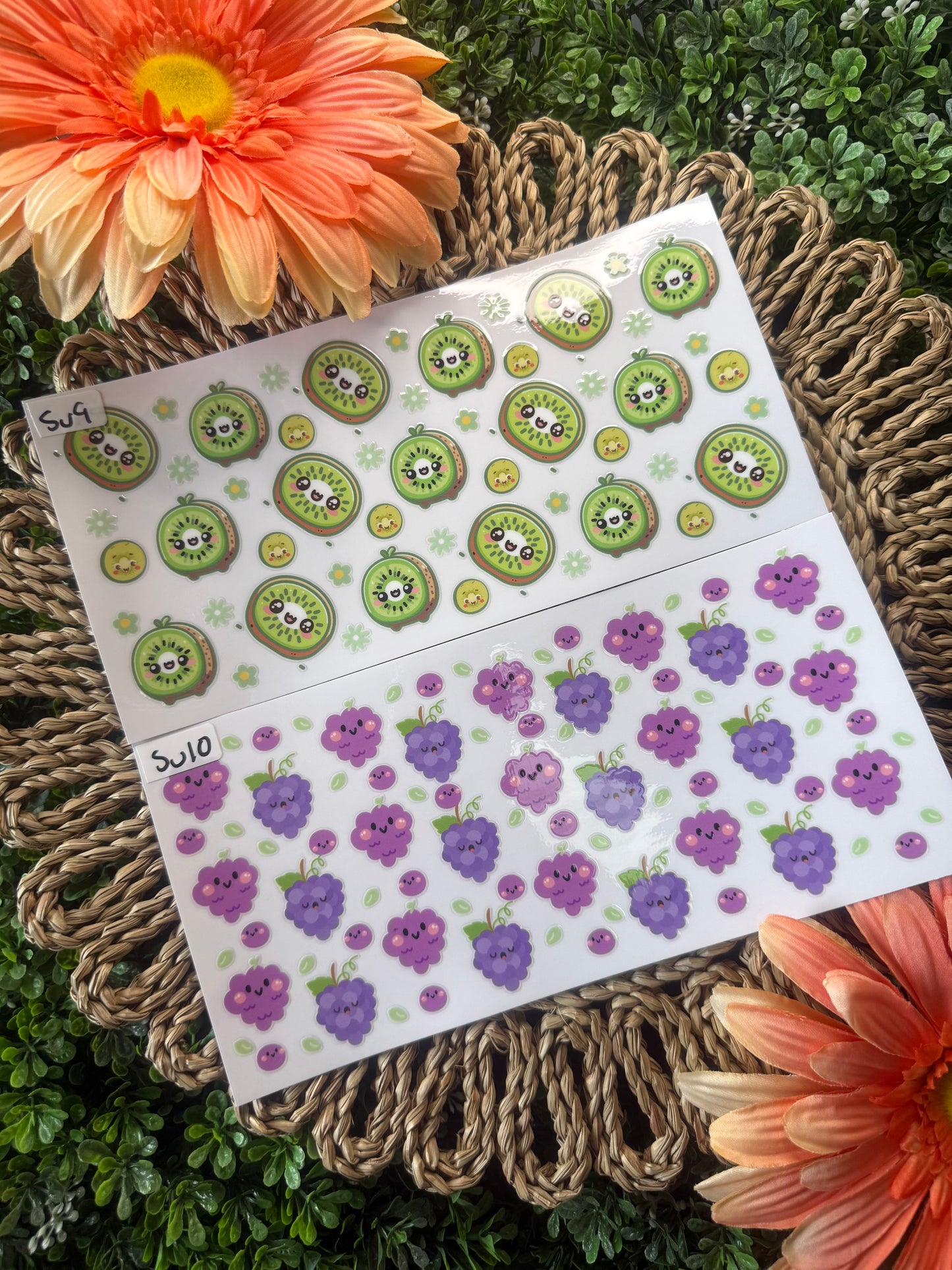 Summer Wrap Fruit Theme