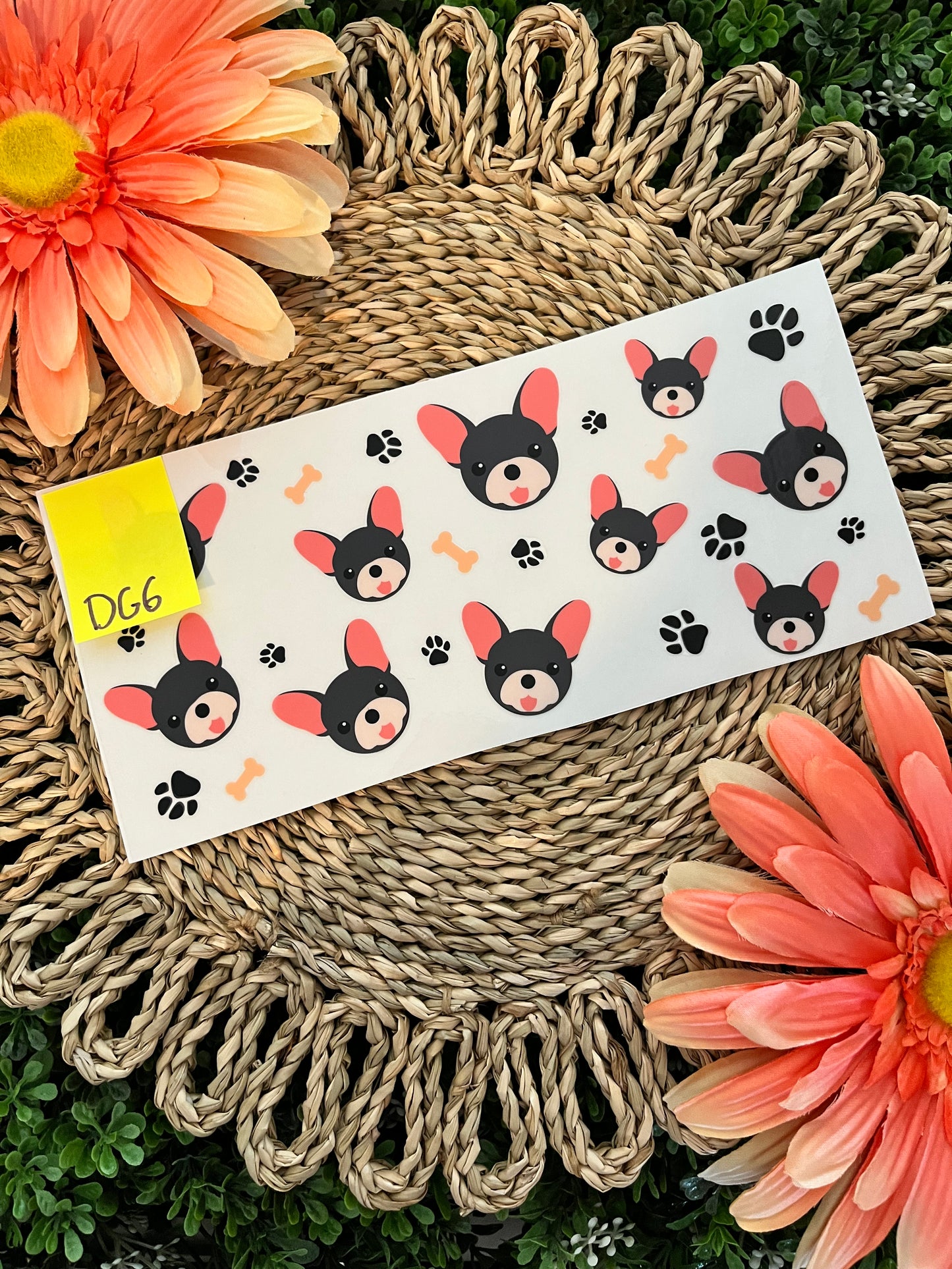 Dog Wrap