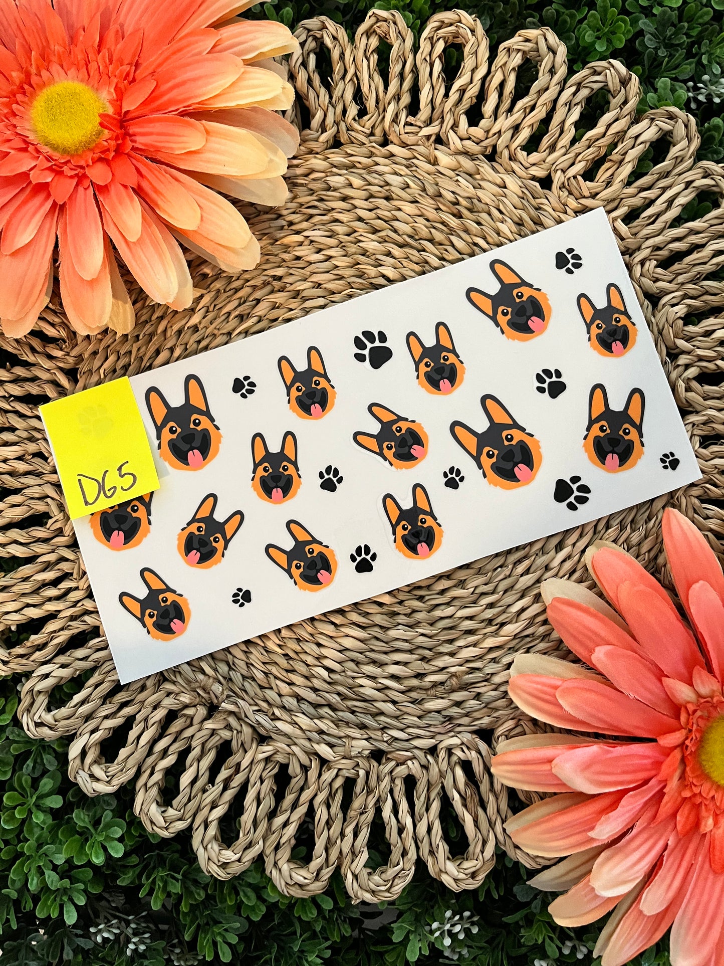 Dog Wrap