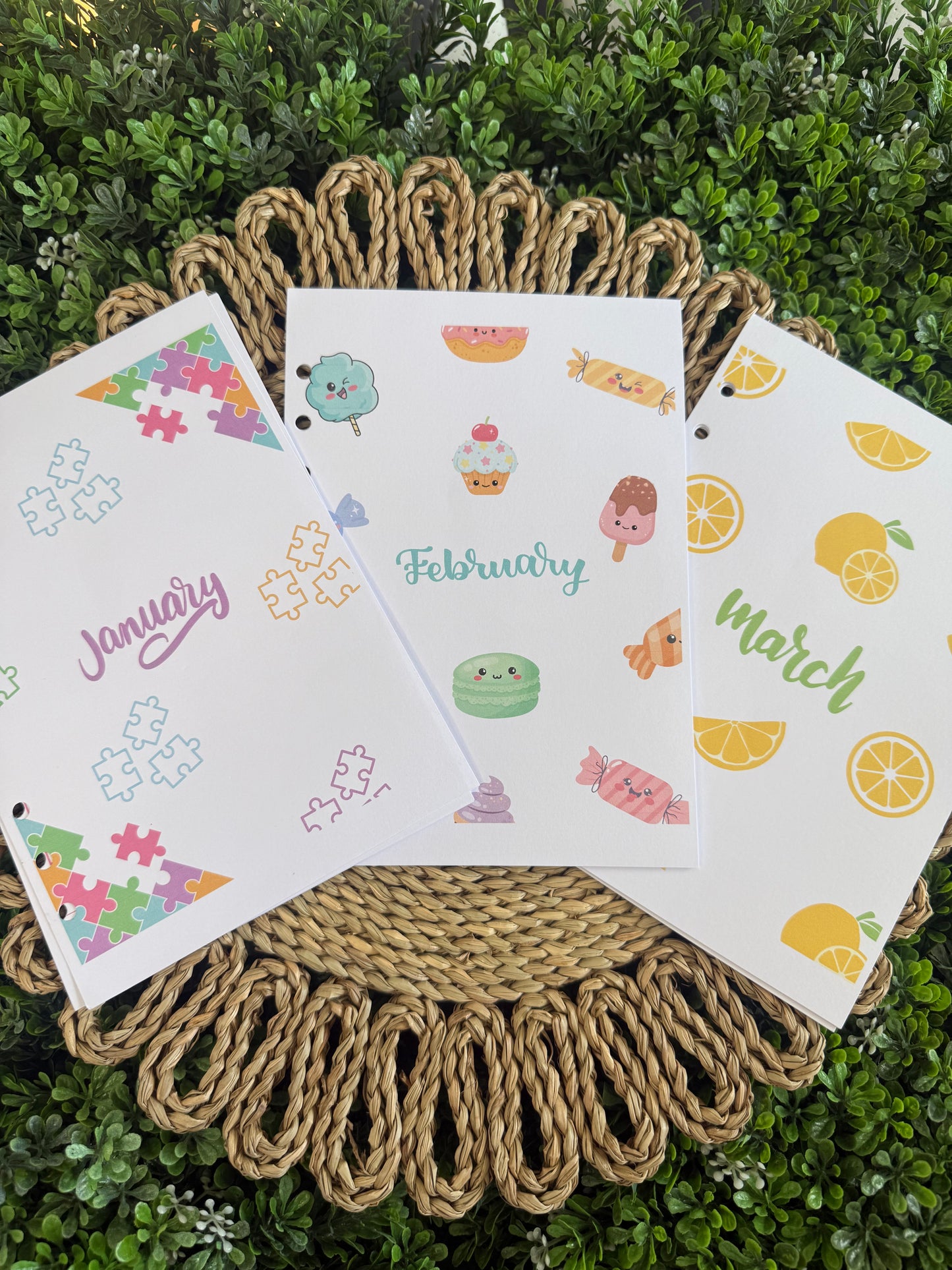 2026 3 Month Monthly Themed Spreads