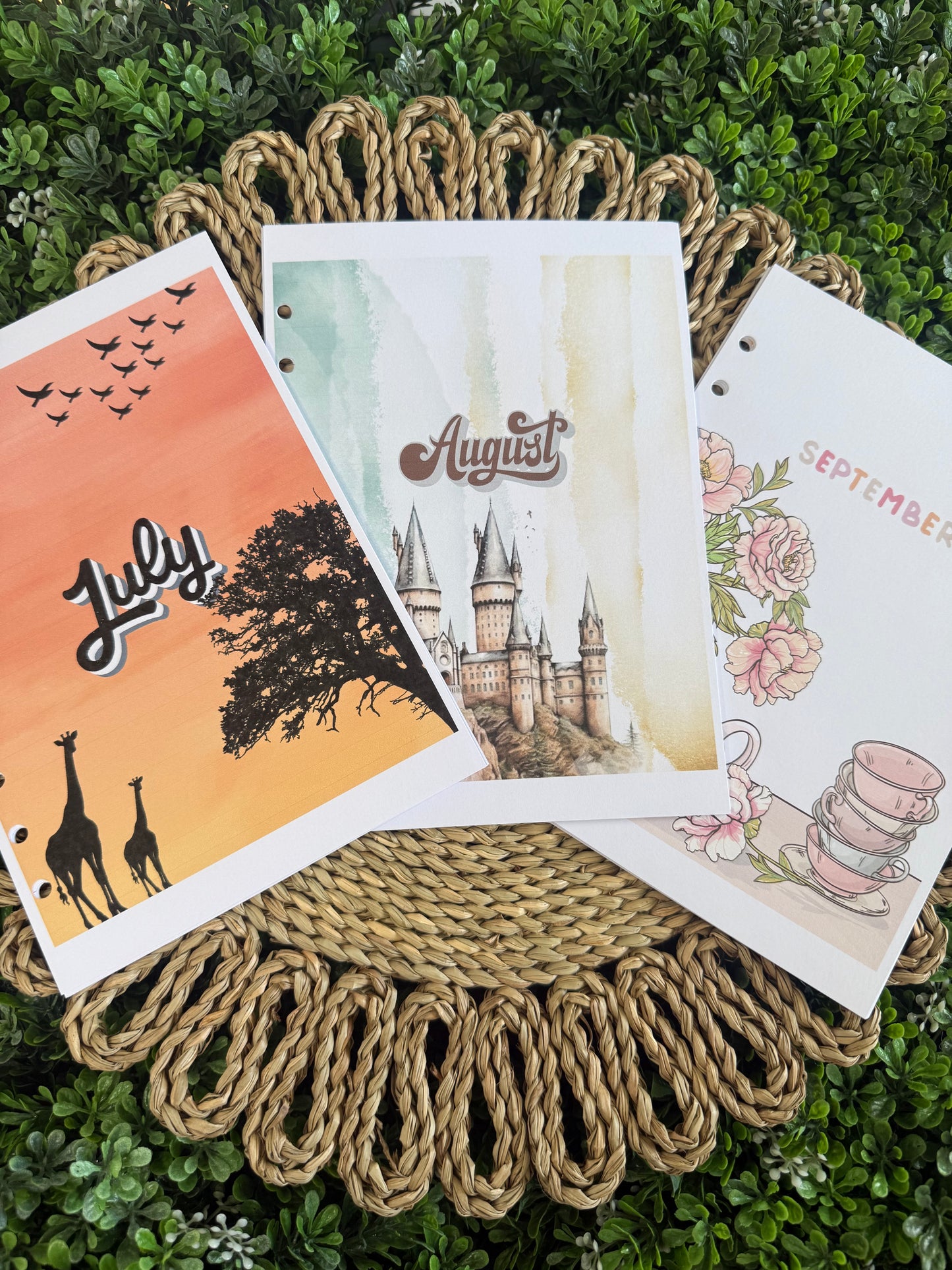 2026 3 Month Monthly Themed Spreads