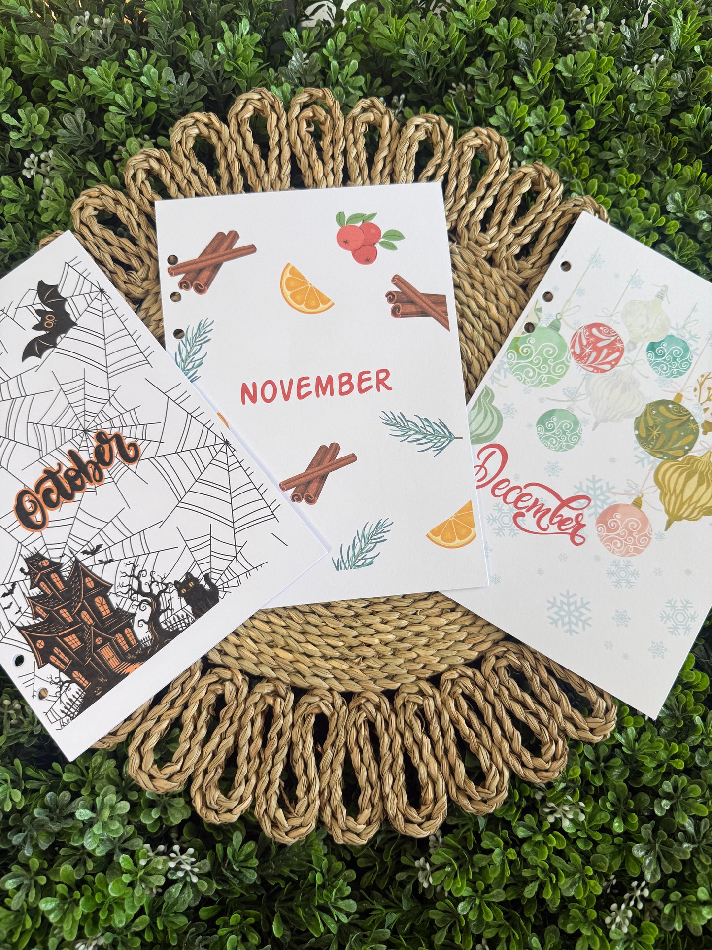 2026 3 Month Monthly Themed Spreads